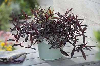 Epic春季特惠开启 最低低至2.5折