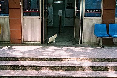 《最后的生还者》主角配音演员被喷后宣布放弃NFT计划